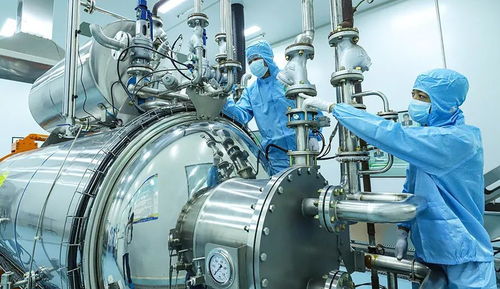 科技赋能植物工厂，张掖农特产品提质增效