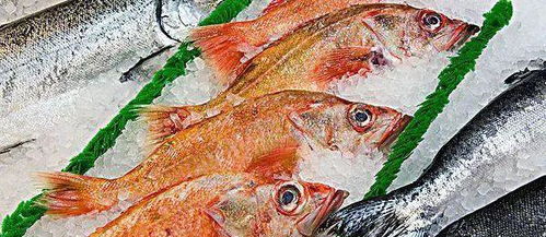 冷冻肉最“新鲜”的吃法 一表读懂5类冷冻食品的保质期（家禽篇）