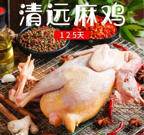 立冬进补正当时 大吉大利，今晚吃鸡——家禽营养高，价格更实惠