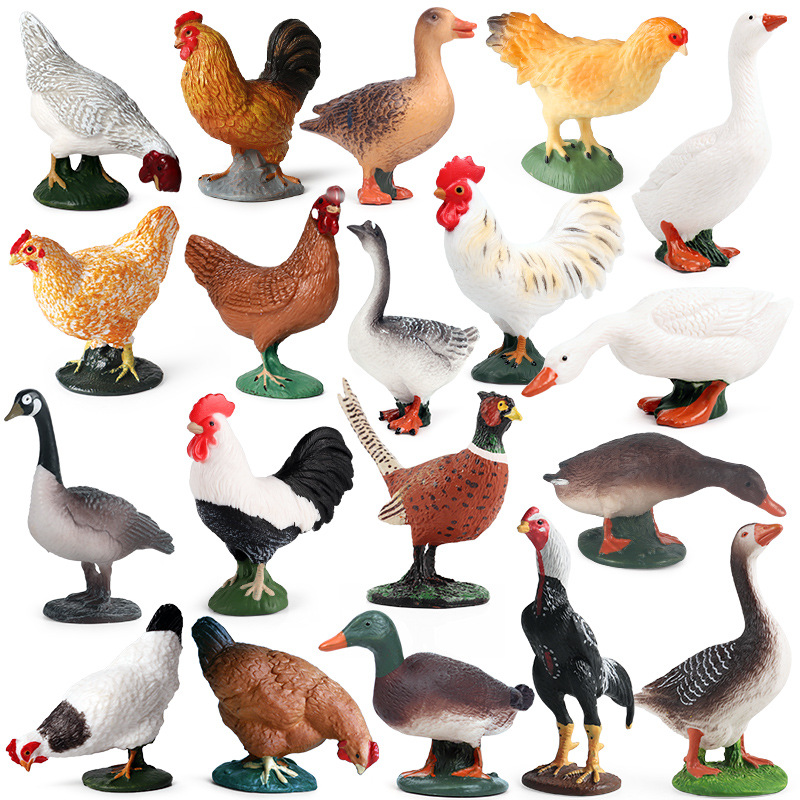 从仿真到认知 家禽与野猪模型在幼儿园教育中的妙用