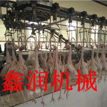 家禽加工设备优选供应商 诸城市鑫润机械厂