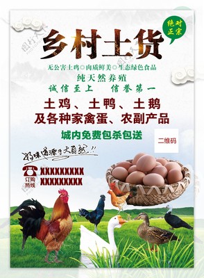 乡村土货名片——家禽